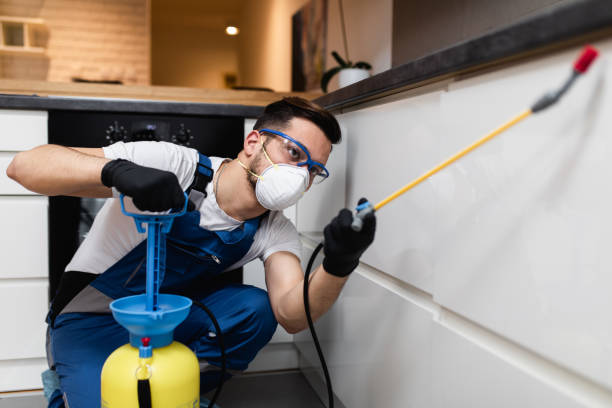 Best Pest Inspection Near Me  in Lincoln Heights, OH