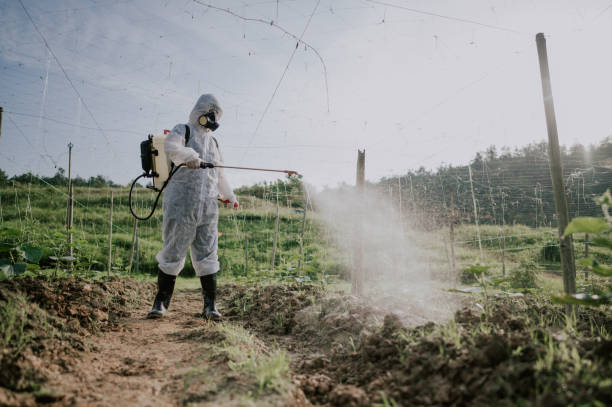 Best Pest Control for Homes  in Lincoln Heights, OH