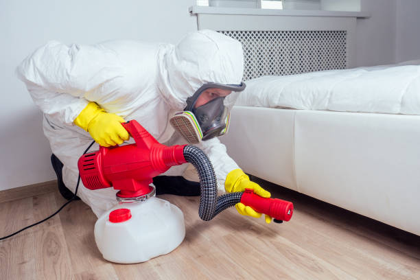 Best Ant Control Services  in Lincoln Heights, OH