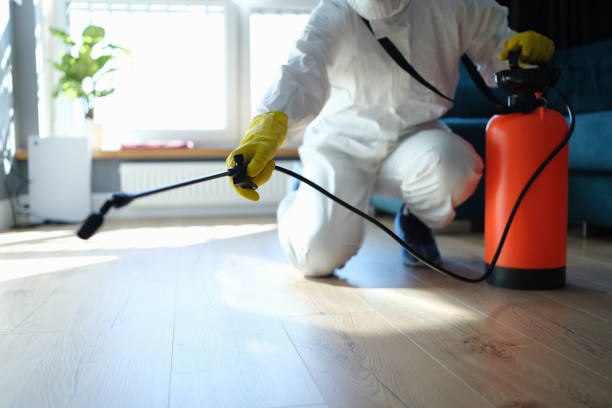 Best Wasp Removal Services  in Lincoln Heights, OH