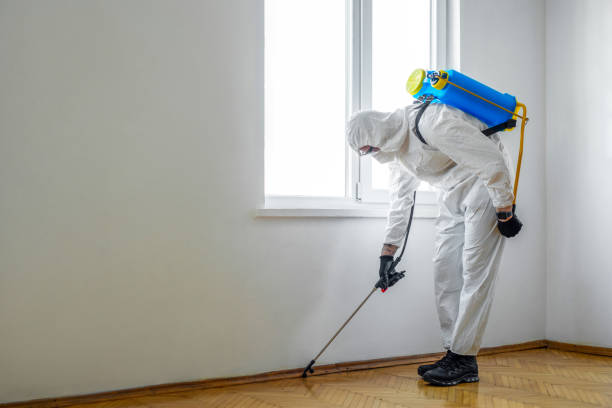 Best Emergency Pest Control  in Lincoln Heights, OH