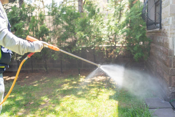 Best Bird Control  in Lincoln Heights, OH