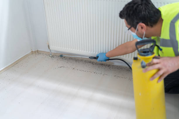 Best Flea Control Services  in Lincoln Heights, OH